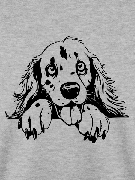 Niedlicher Setter