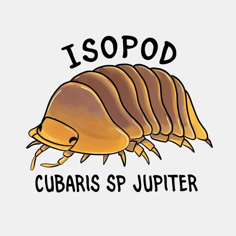 Isopode cubaris sp jupiter