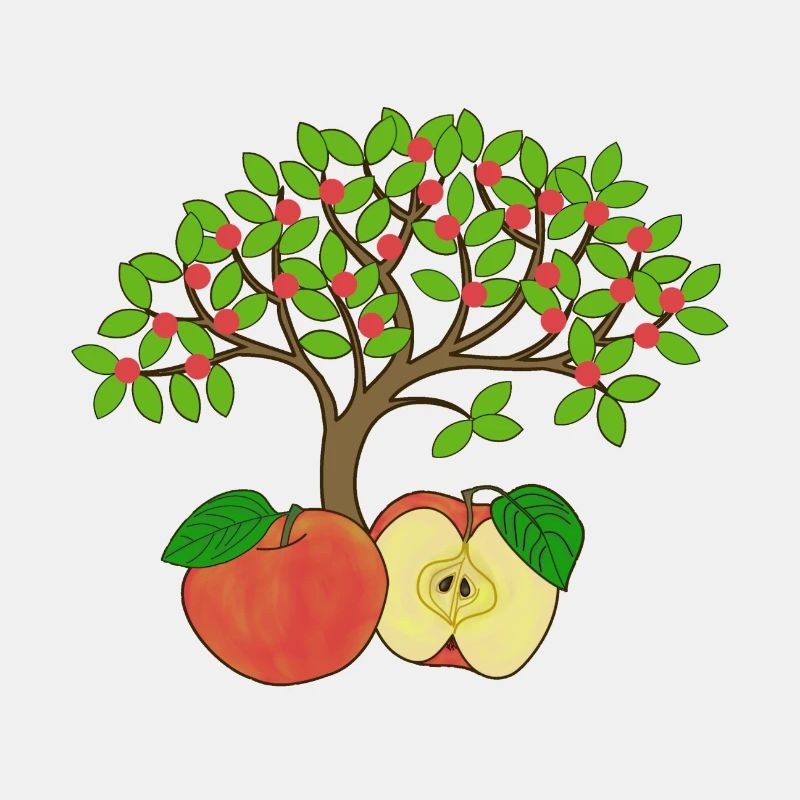 Apple tree, apple