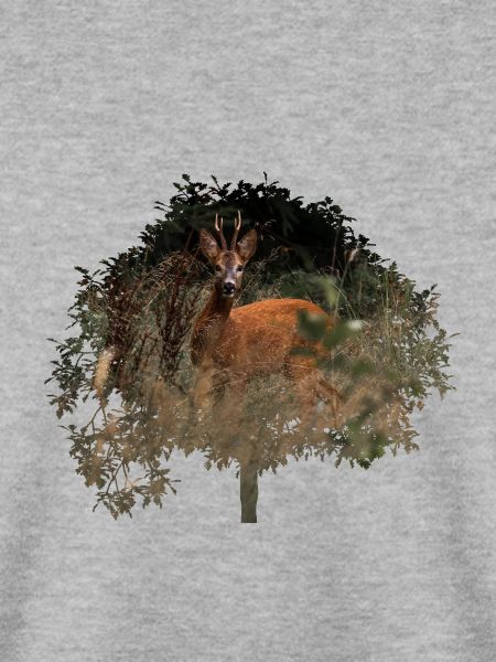 wunderschöner Rehbock im Wald