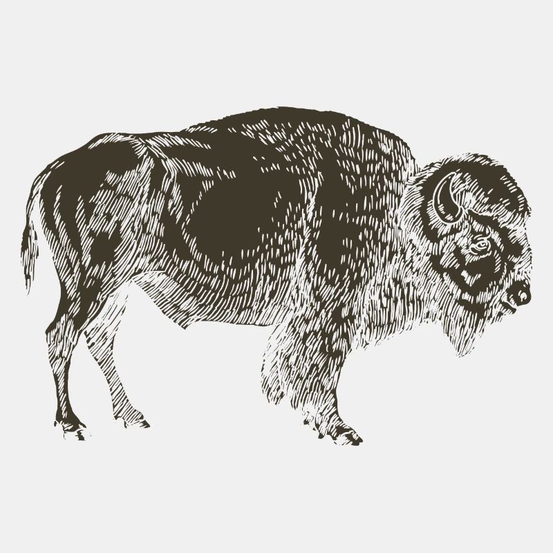 Wildtiere