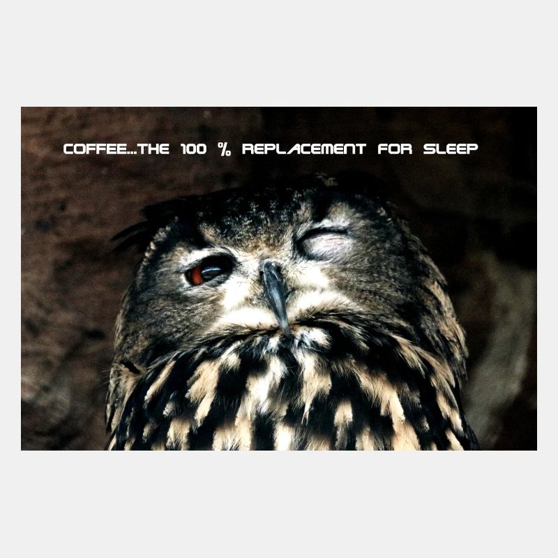 Eule, 100% replacement for coffee