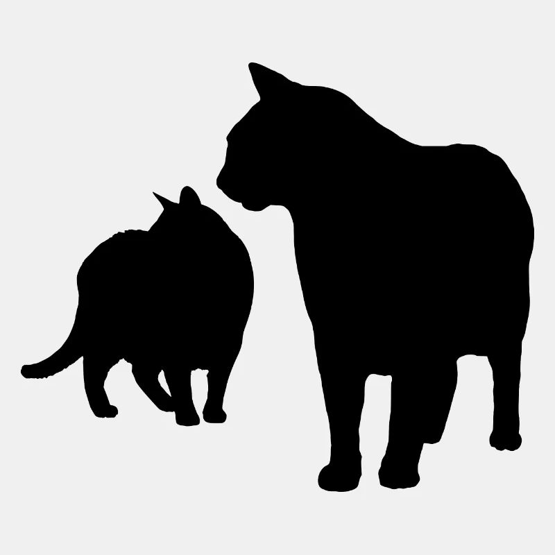 Katze Katzen