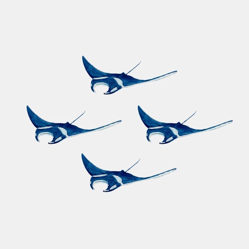 4 Mantarochen