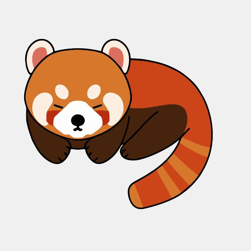 Roter Panda Müde Schlafen