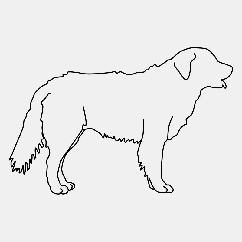 golden retriever lineart 1
