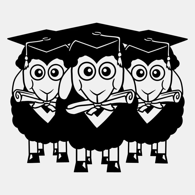 3 Sheep Certificate College Abi Trois étudiants Équipe
