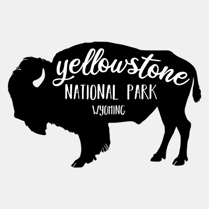 Yellowstone NP Bison Farbe schwarz