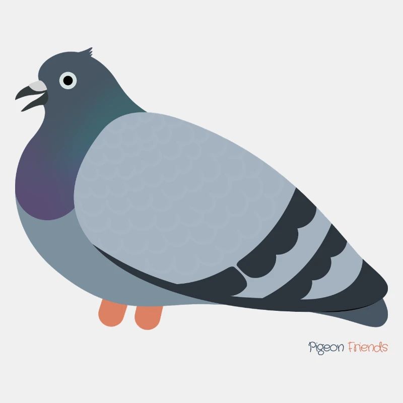 Tauben Vogel