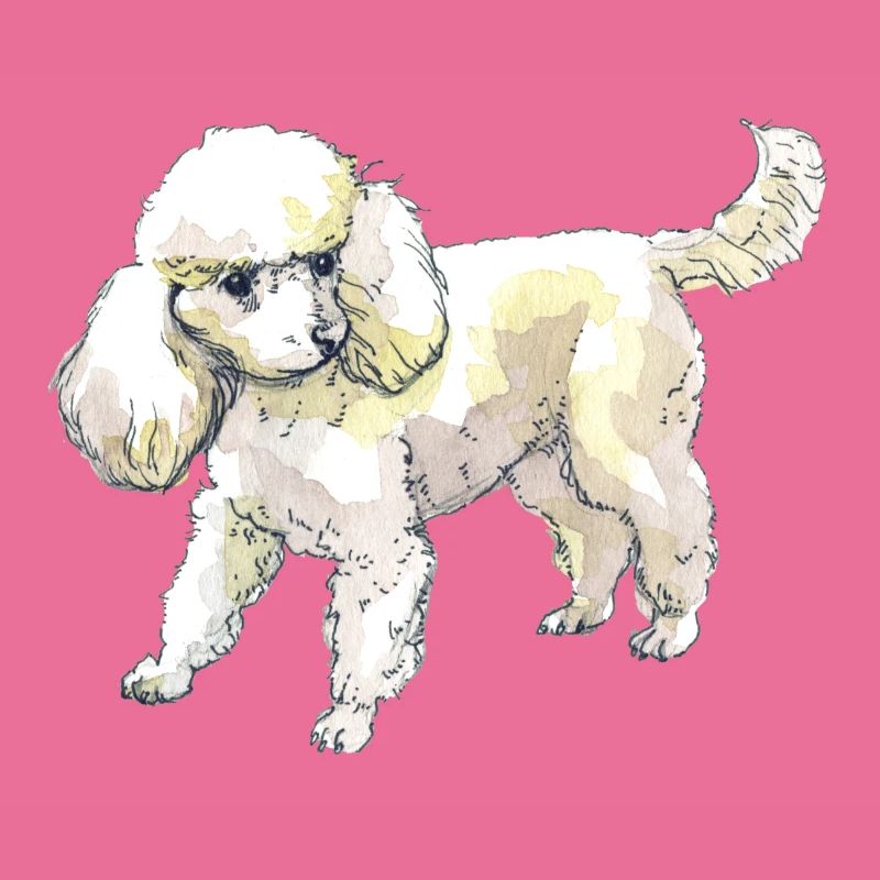 Pudel