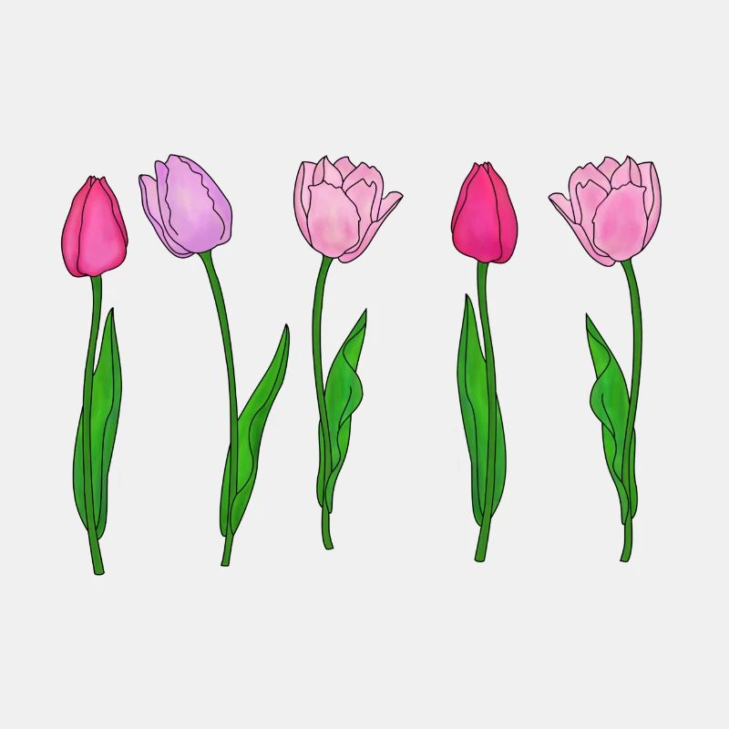 Rosa Tulpen, Frühling