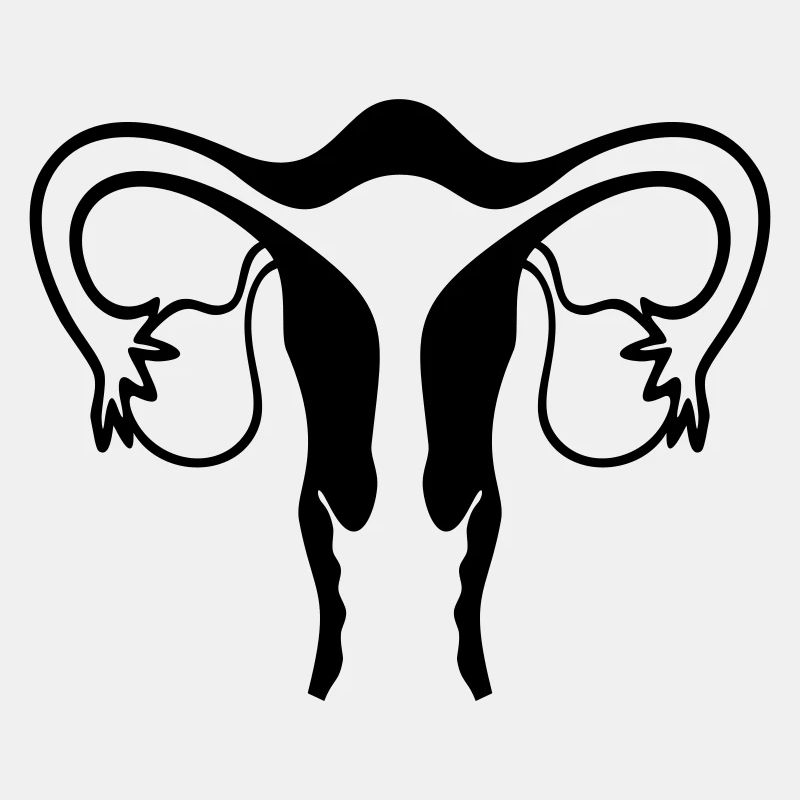 Uterus (1c, schematic representation)