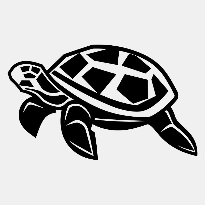 Tortoise