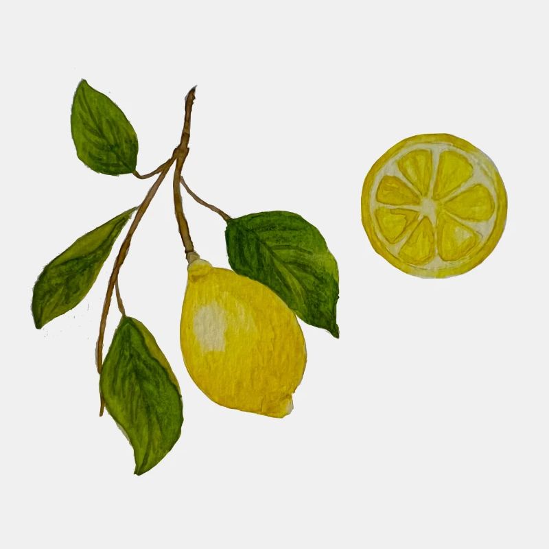 Branche de citron et citron