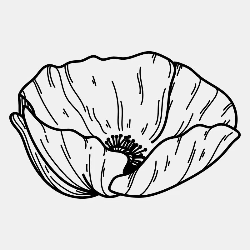 Mohn Blume