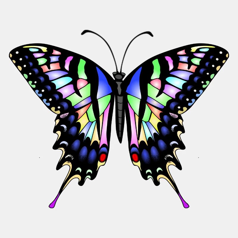 Schwalbenschwanz Schmetterling