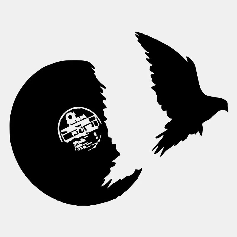 vol d'oiseau vinyle