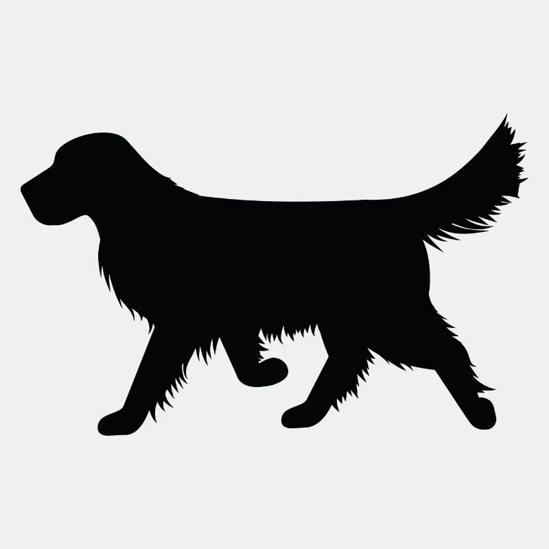 Hund
