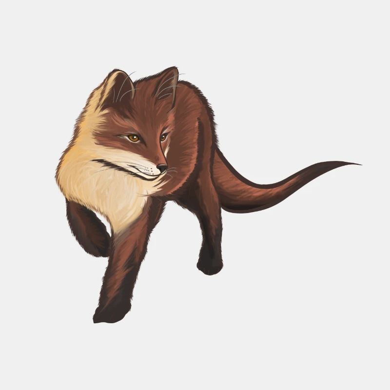 Baby-Fuchs