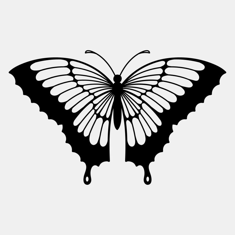 Papillon Noir/Transparent Aux Ailes Déployées N°2