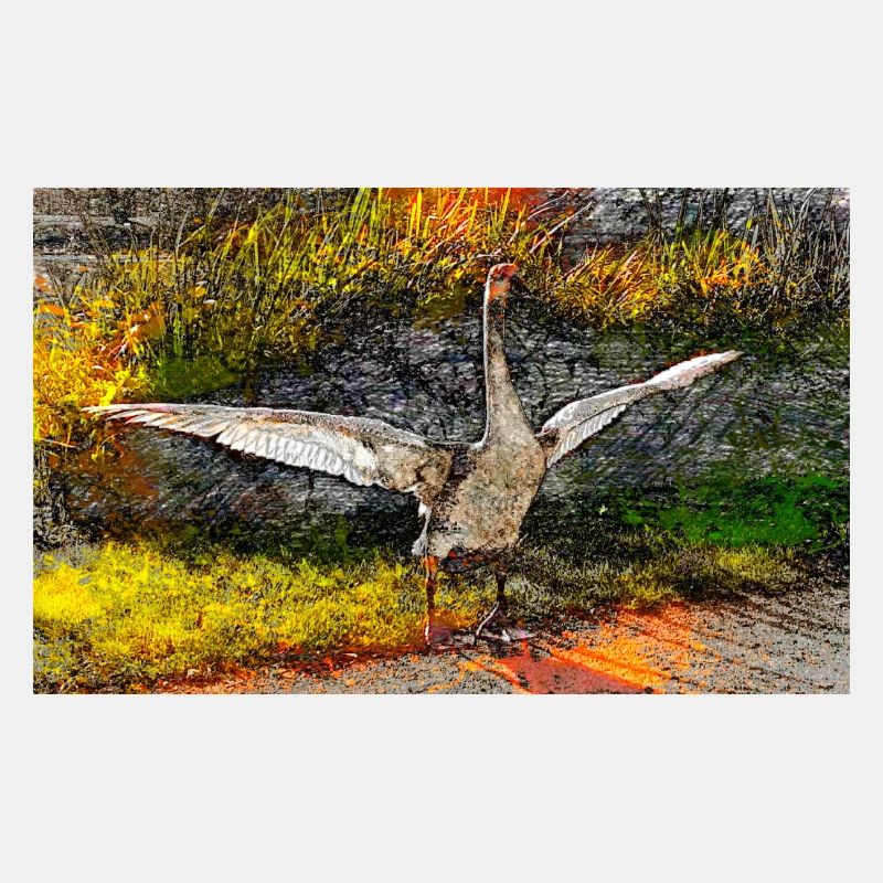 junger Schwan