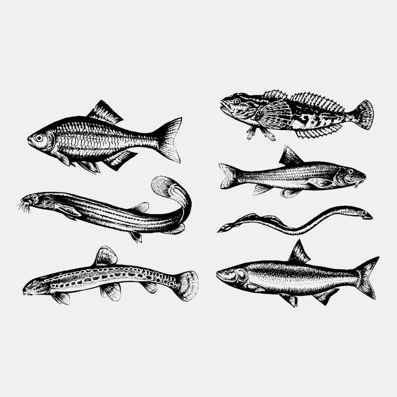 Fische FFH-Arten