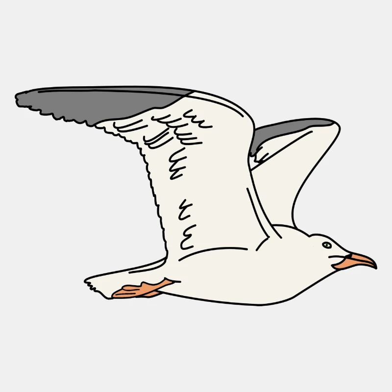 Möwe