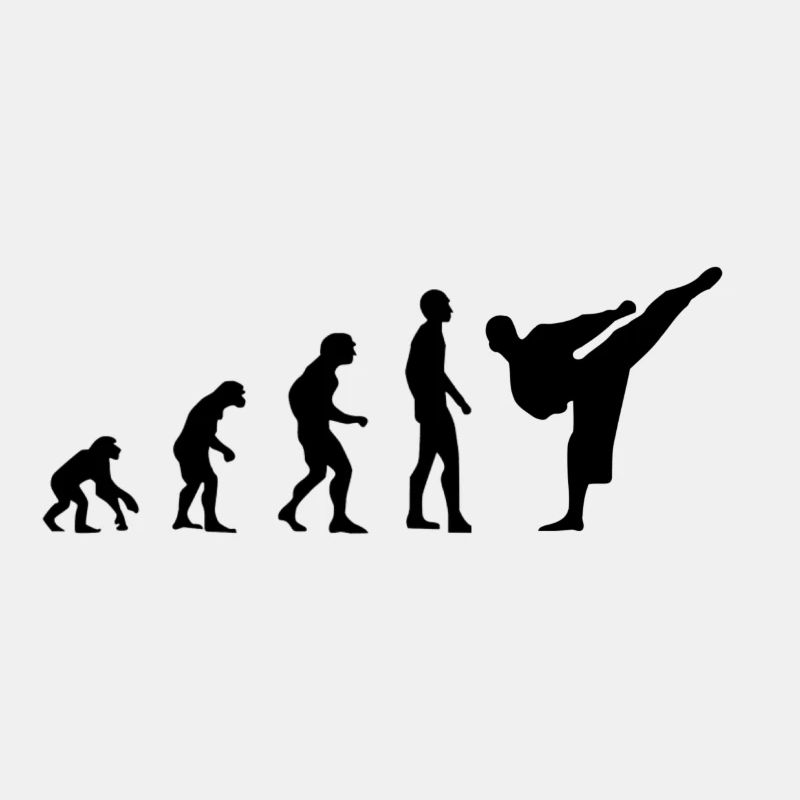 KARATE