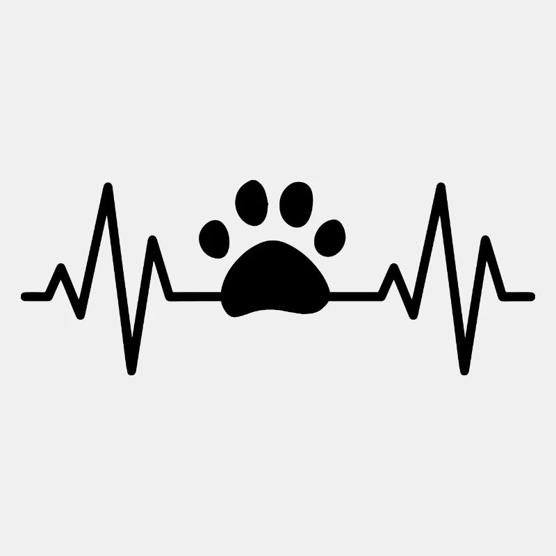 Hund Dog Agility