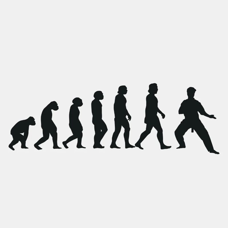 Évolution du karaté