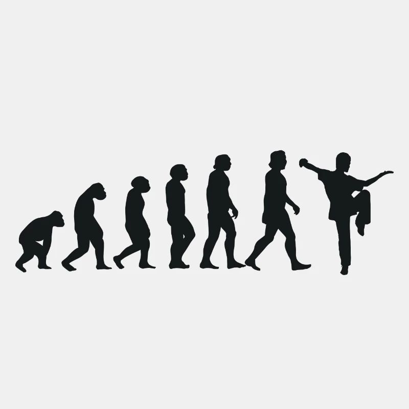 Évolution du Kung Fu
