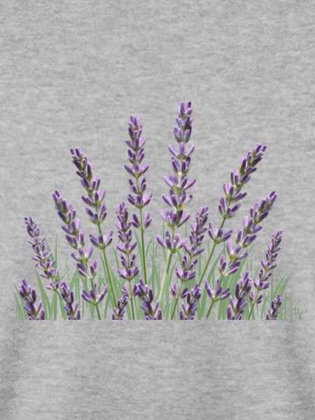 Lavendelhalme Lavendel