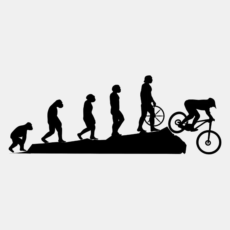 Fahrad Evolution Schwarz