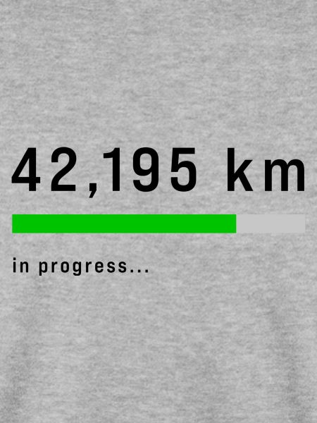 41,195 km in Progress
