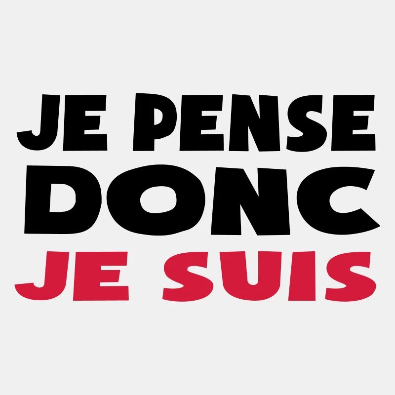 je pense donc je suis doute philosophique