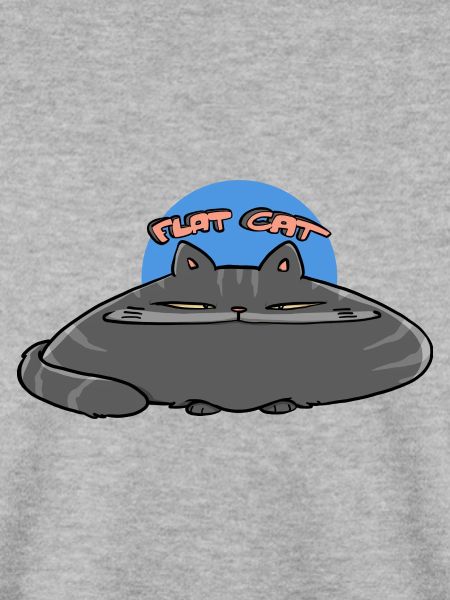 Flache Katze