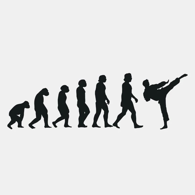 Evolution of Karate
