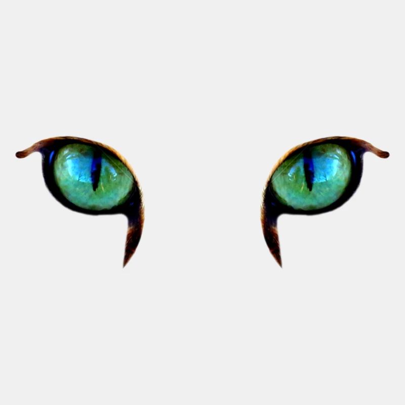 Blick