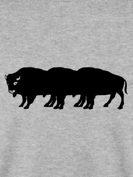 bisons