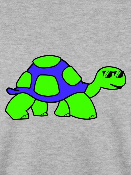 cool turtle