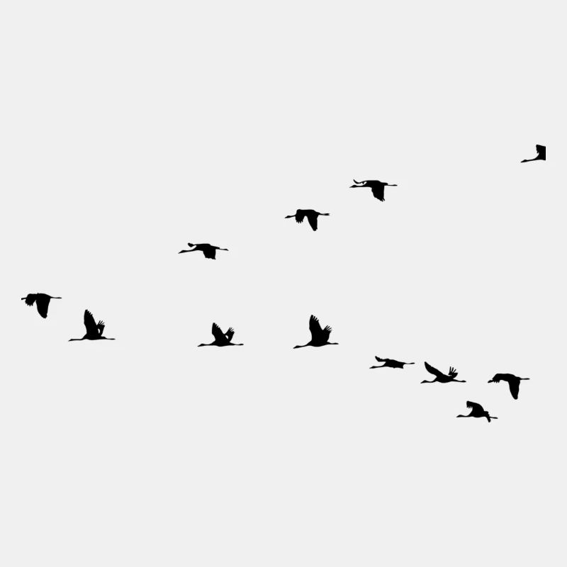 Vögel