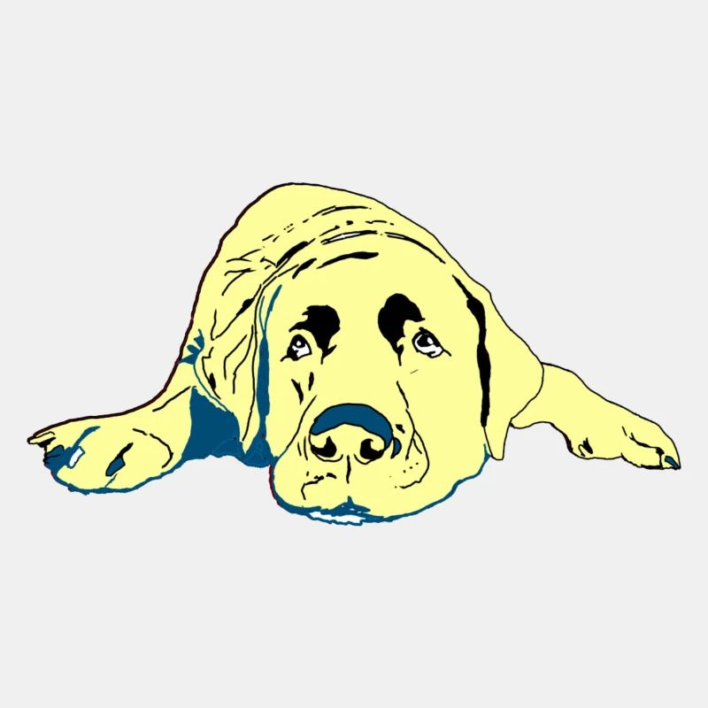 Labrador