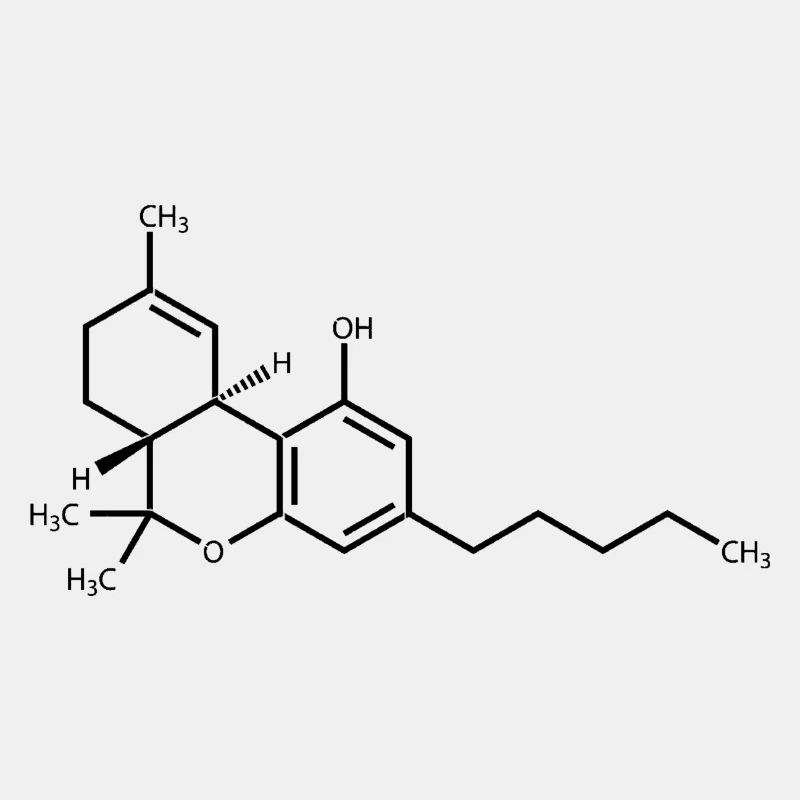 THC black