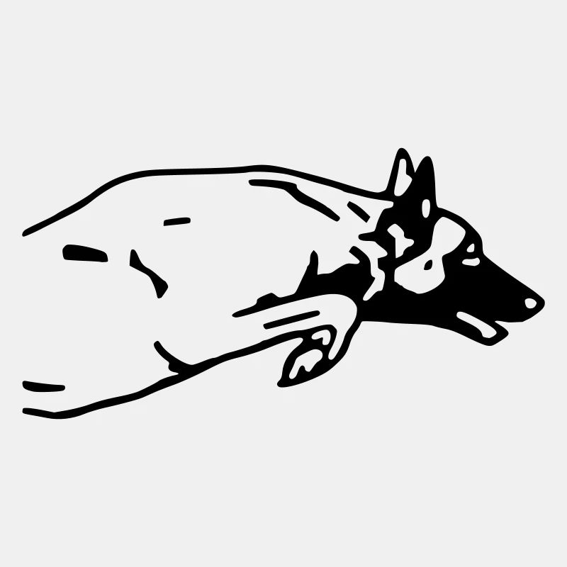 Malinois Hund