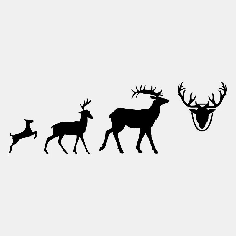 Deer To Antlers