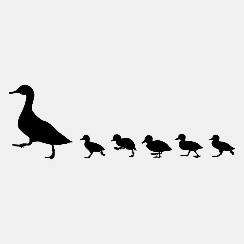 canard et des canetons, duck
