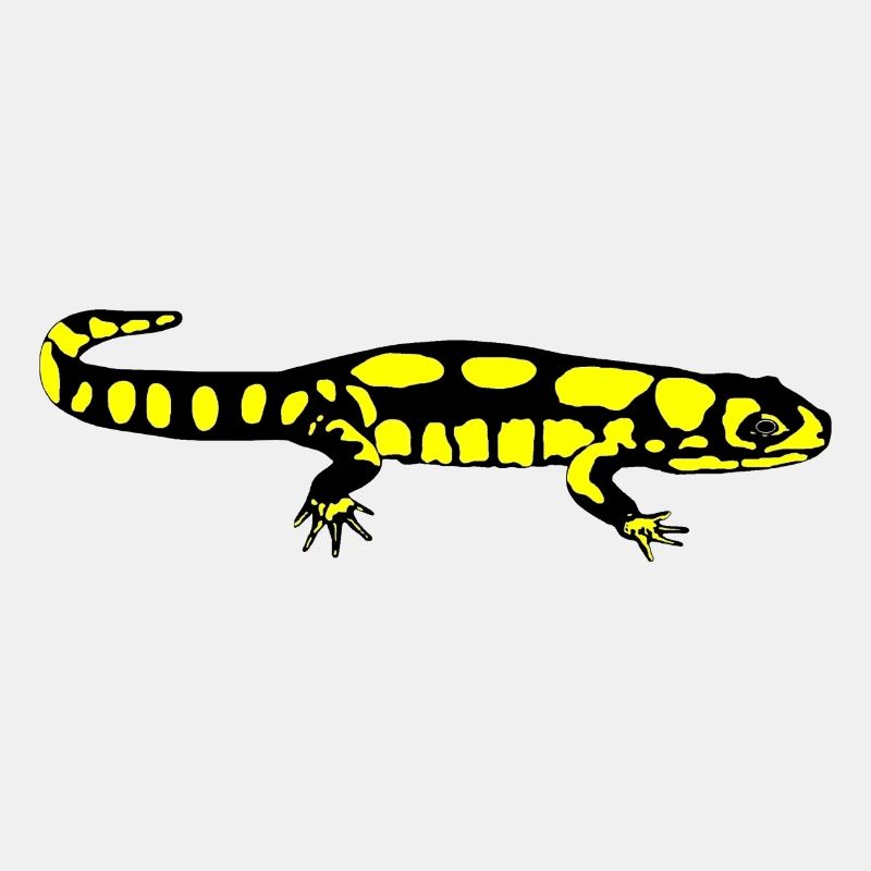 Salamander