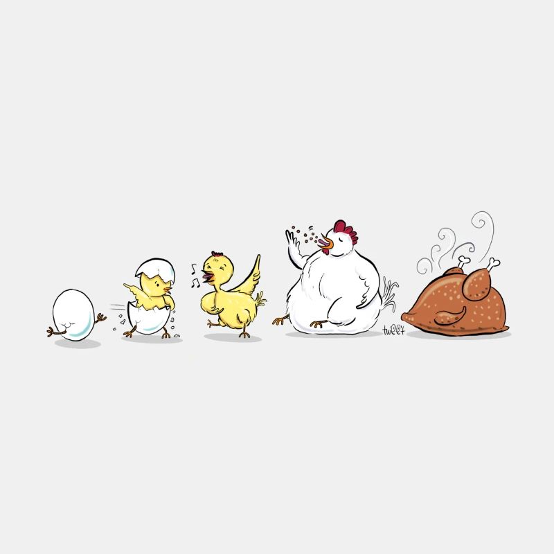 Evolution Of Chicken
