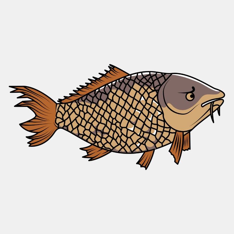 Grantiger Karpfen / Grumpy Carp
