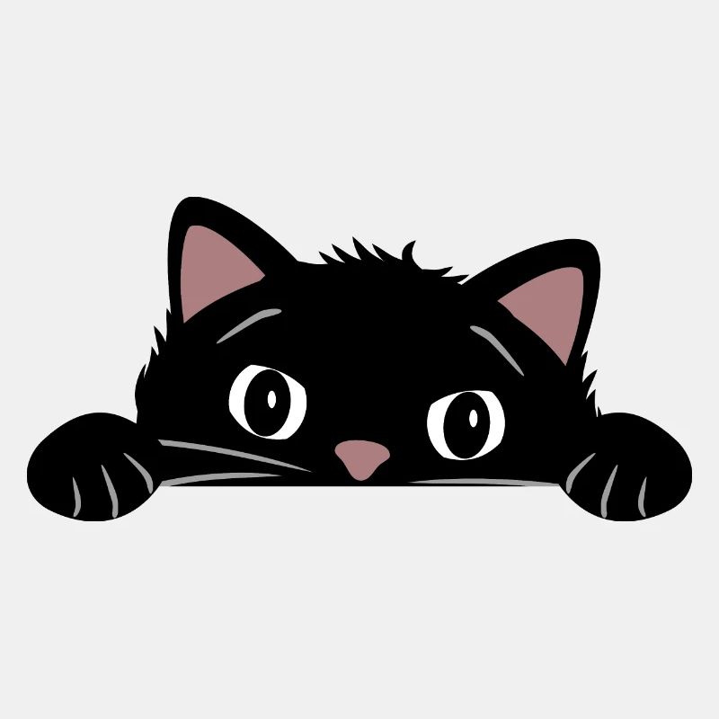 Spähende lustige schwarze Katze